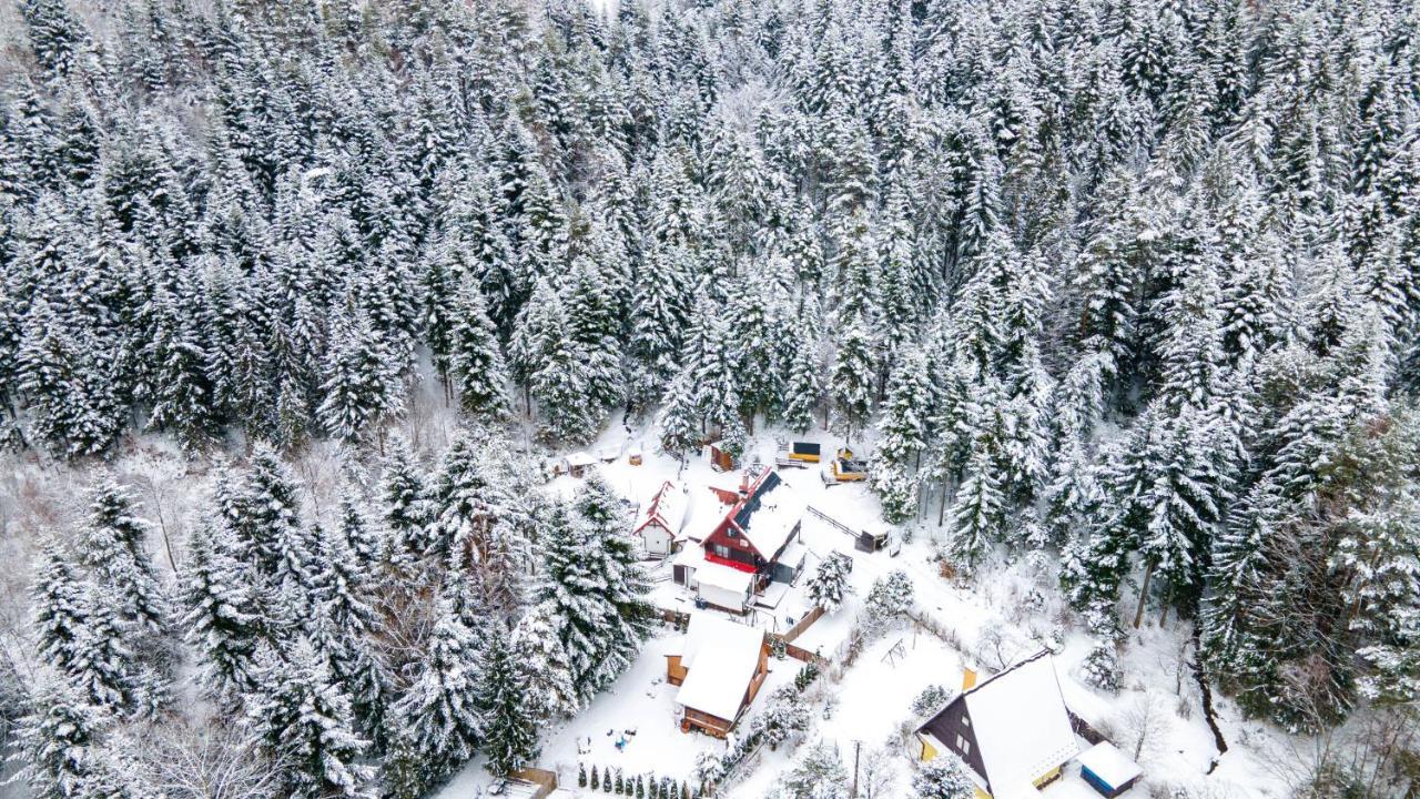 Chata Pod Lasem Poreba  Bagian luar foto